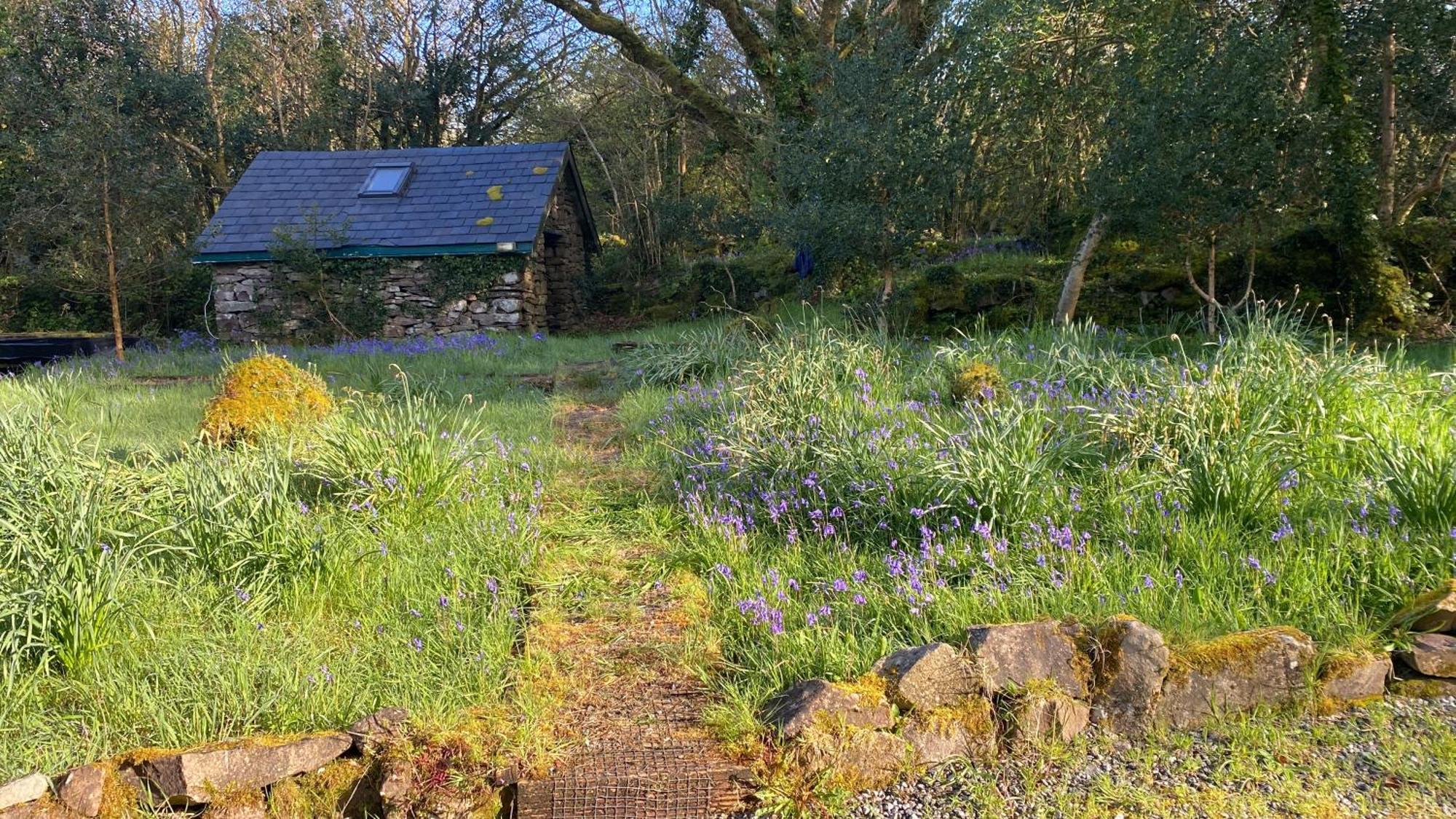Sligo Forest Retreat Kültér fotó