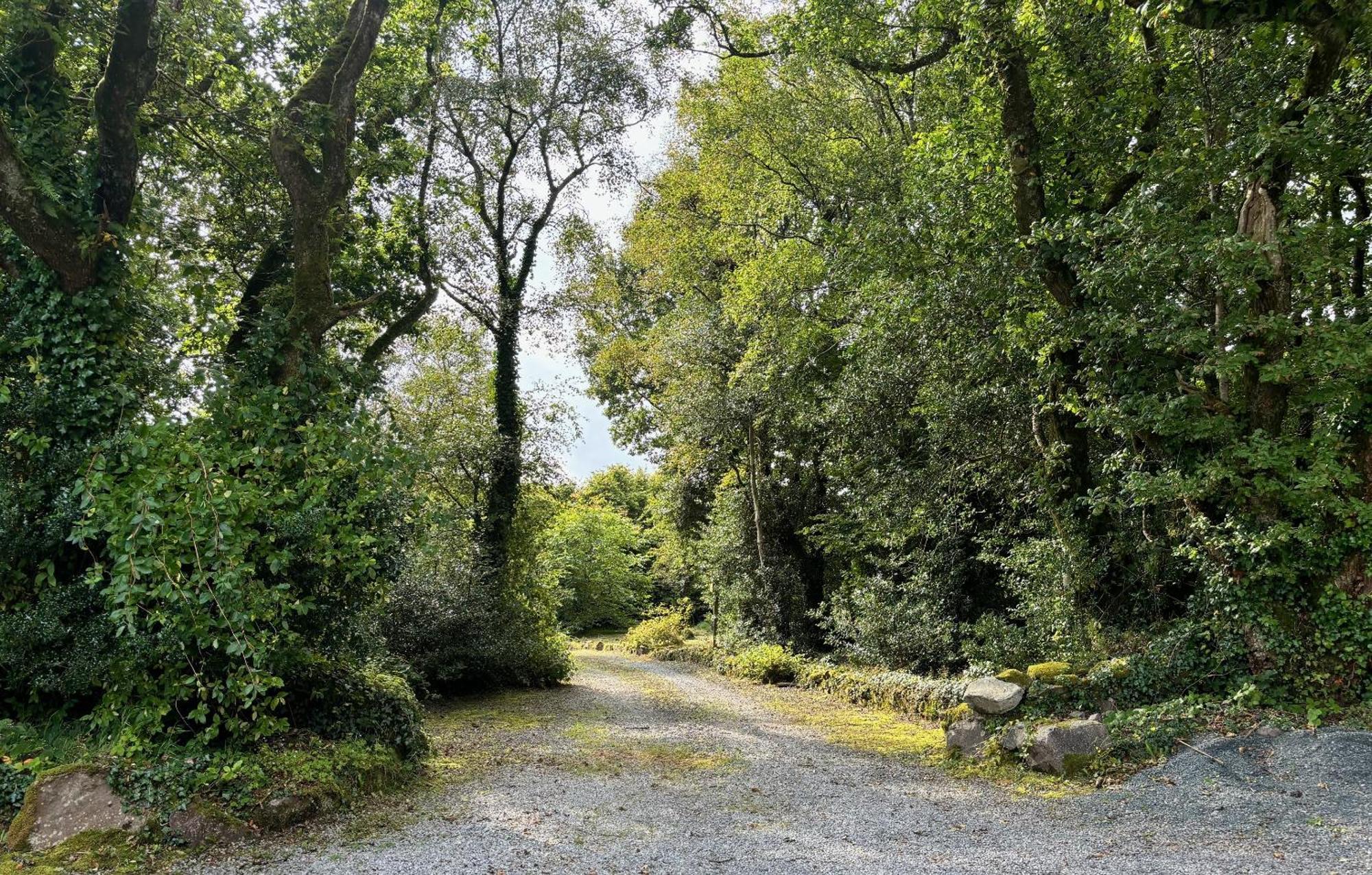 Sligo Forest Retreat Kültér fotó